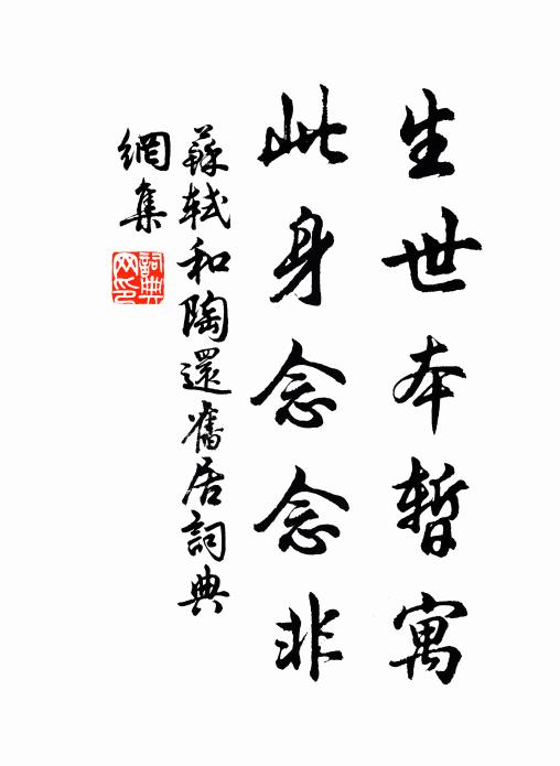 苏轼生世本暂寓，此身念念非书法作品欣赏
