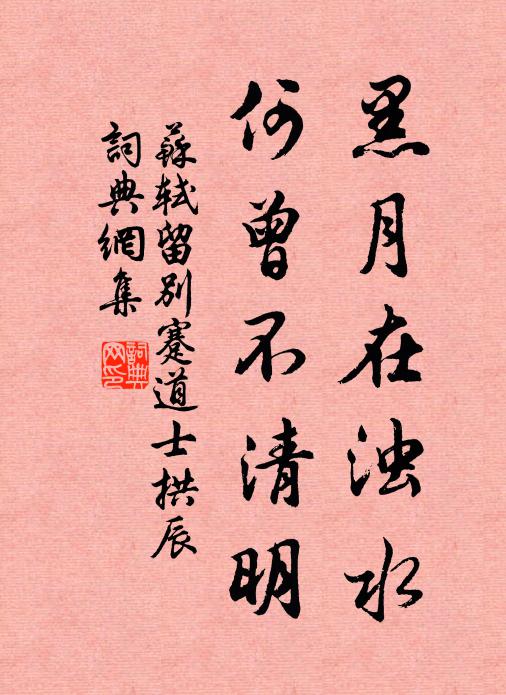 苏轼黑月在浊水，何曾不清明书法作品欣赏