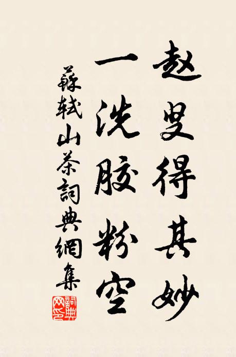 苏轼赵叟得其妙，一洗胶粉空书法作品欣赏