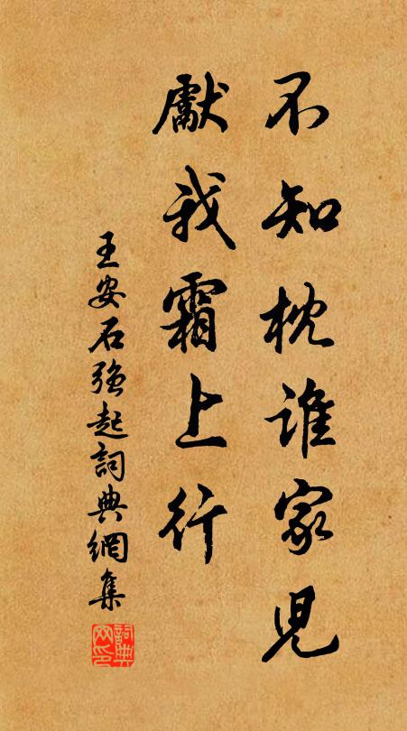 王安石不知枕谁家儿，先我霜上行书法作品欣赏