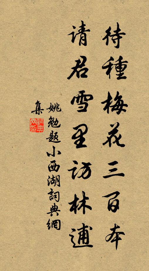 姚勉待种梅花三百本，请君雪里访林逋书法作品欣赏