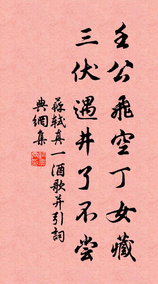 苏轼壬公飞空丁女藏，三伏遇井了不尝书法作品欣赏