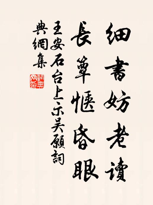 王安石细书妨老读，长簟惬昏眼书法作品欣赏