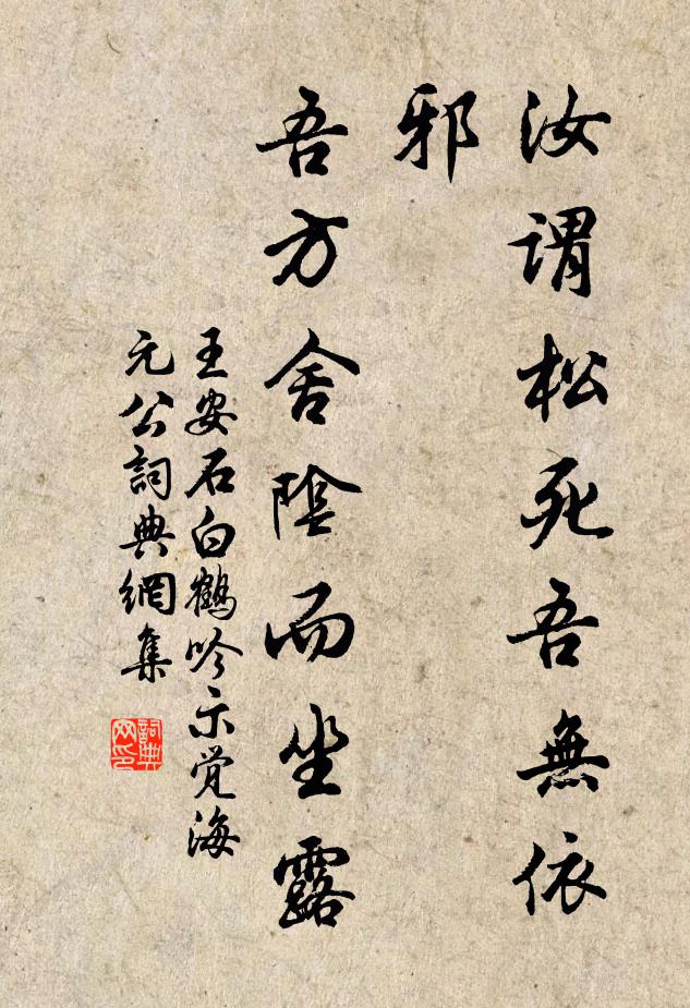 王安石汝谓松死吾无依邪，吾方舍阴而坐露书法作品欣赏
