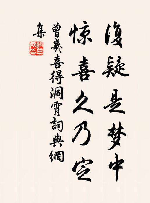 曾几复疑是梦中，惊喜久乃定书法作品欣赏