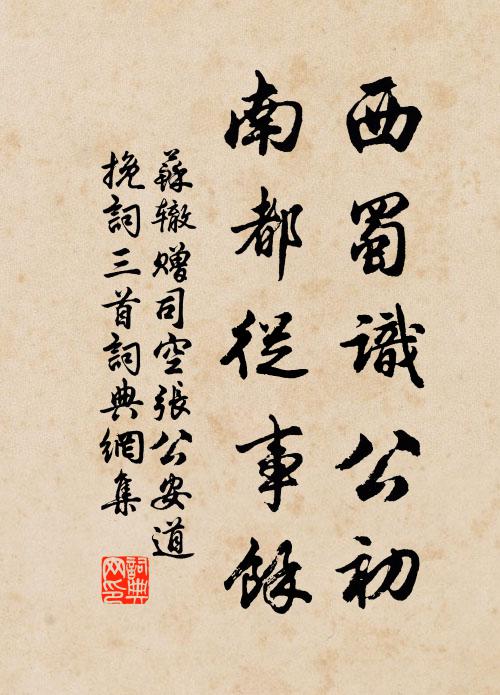 苏辙西蜀识公初，南都从事余书法作品欣赏