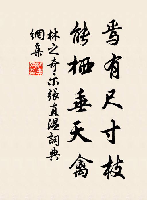 林之奇焉有尺寸枝，能栖垂天禽书法作品欣赏