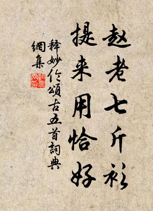 释妙伦赵老七斤衫，提来用恰好书法作品欣赏