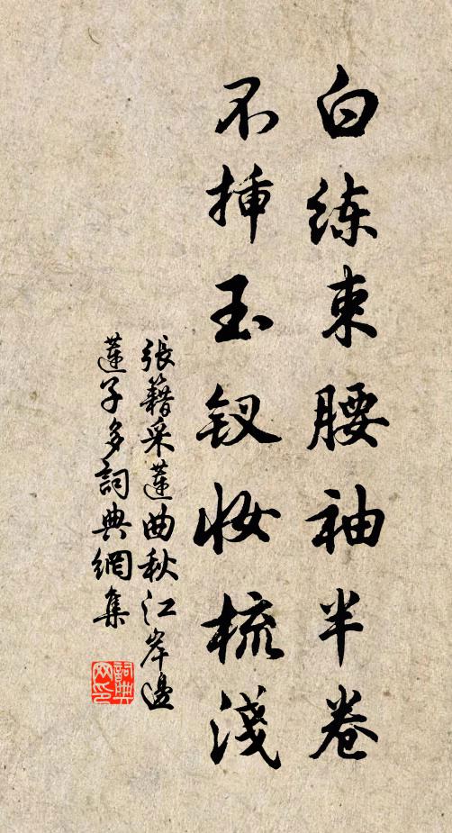 张籍白练束腰袖半卷，不插玉钗妆梳浅书法作品欣赏