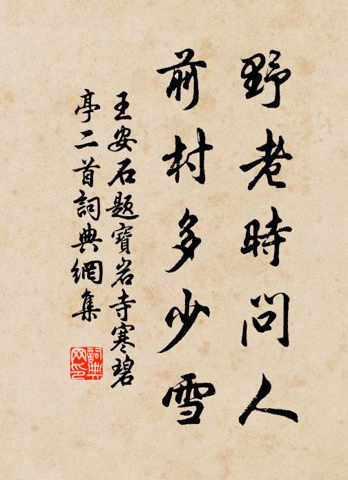 王安石野老时问人，前村多少雪书法作品欣赏