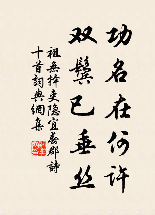 祖无择功名在何许，双鬓已垂丝书法作品欣赏