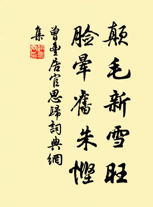 曾丰颠毛新雪旺，脸晕旧朱悭书法作品欣赏