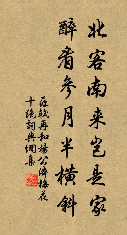 苏轼北客南来岂是家，醉看参月半横斜书法作品欣赏
