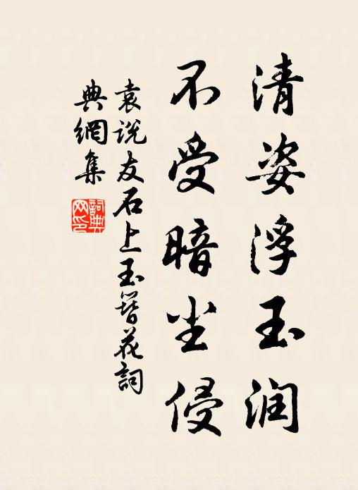 袁说友清姿浮玉润，不受暗尘侵书法作品欣赏