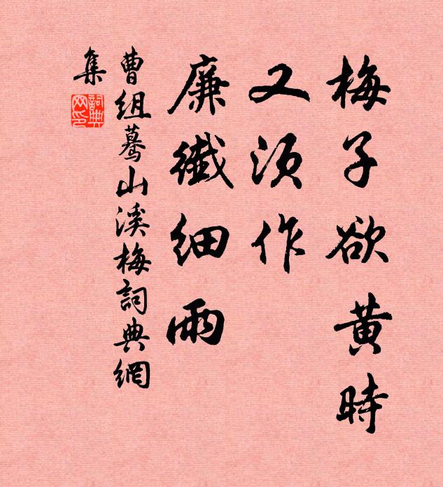 曹组梅子欲黄时，又须作，廉纤细雨书法作品欣赏