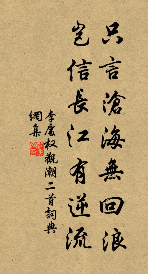 李处权只言沧海无回浪，岂信长江有逆流书法作品欣赏