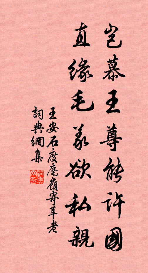 王安石岂慕王尊能许国，直缘毛义欲私亲书法作品欣赏