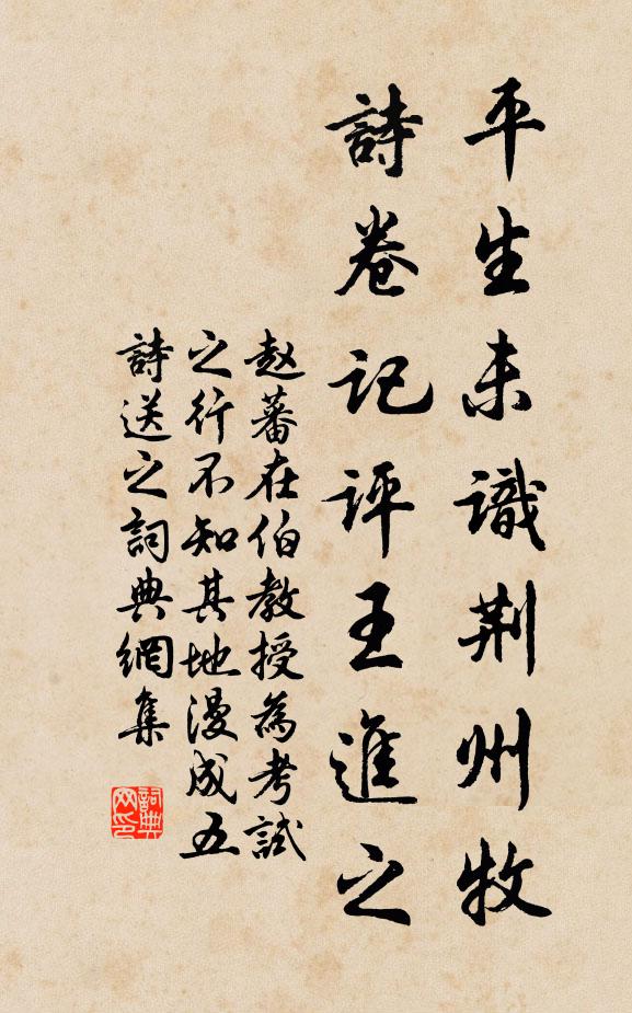 赵蕃平生未识荆州牧，诗卷记评王进之书法作品欣赏