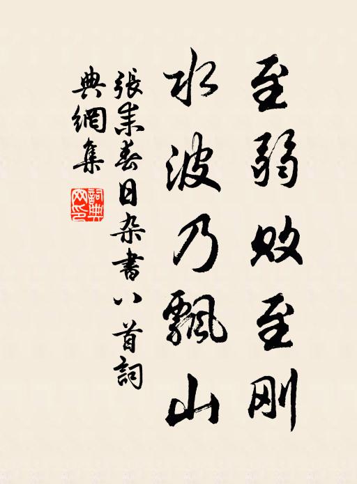 张耒至弱败至刚，水波乃飘山书法作品欣赏