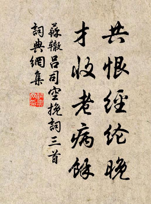 苏辙共恨经纶晚，才收老病余书法作品欣赏