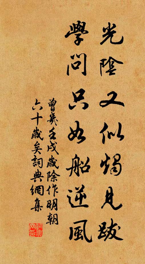 曾几光阴又似烛见跋，学问只如船逆风书法作品欣赏