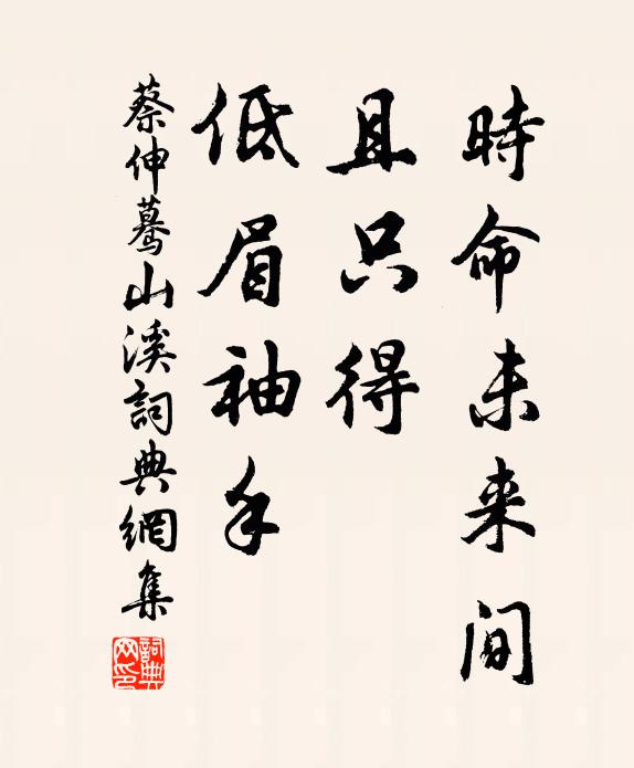 蔡伸时命未来间，且只得、低眉袖手书法作品欣赏