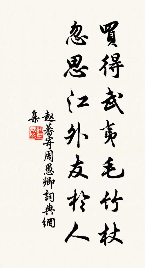 赵蕃买得武夷毛竹杖，忽思江外友于人书法作品欣赏