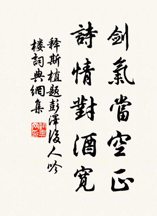 释斯植剑气当空正，诗情对酒宽书法作品欣赏
