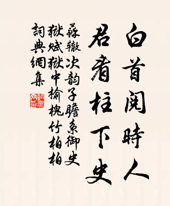 苏辙白首阅时人，君看柱下史书法作品欣赏