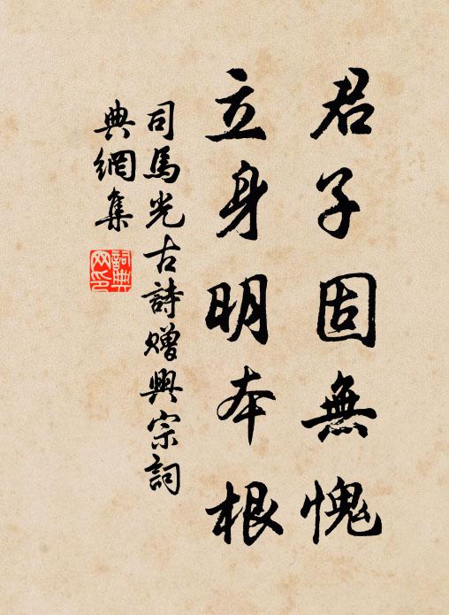 司马光君子固无愧，立身明本根书法作品欣赏