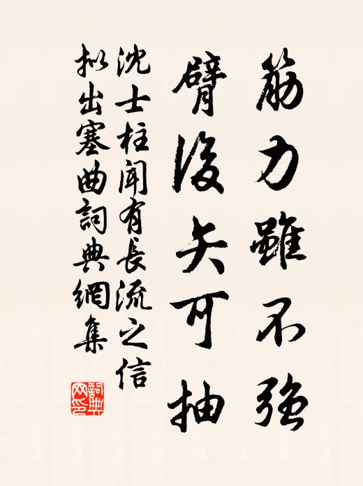 沈士柱筋力虽不强，臂后矢可抽书法作品欣赏