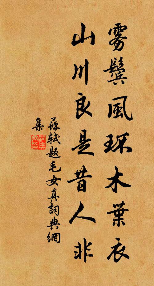 苏轼雾鬓风环木叶衣，山川良是昔人非书法作品欣赏
