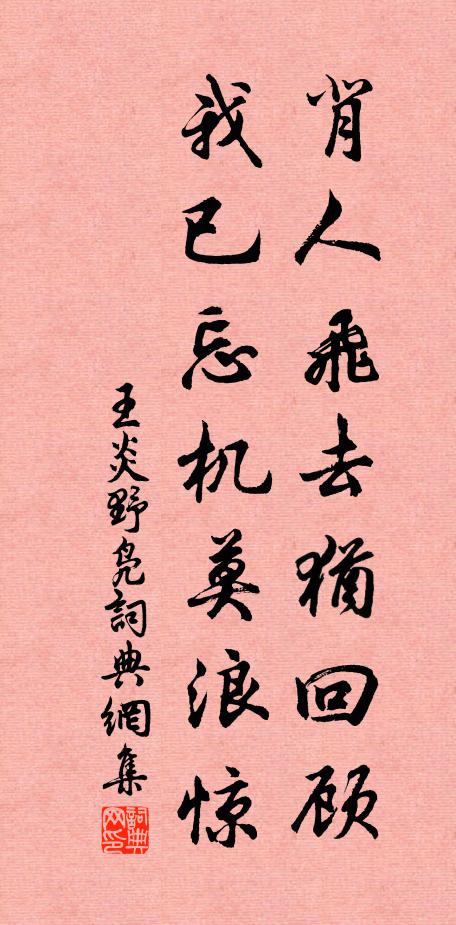 王炎背人飞去犹回顾，我已忘机莫浪惊书法作品欣赏