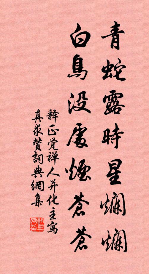 释正觉青蛇露时星烂烂，白鸟没处烟苍苍书法作品欣赏