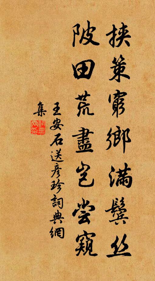王安石挟策穷乡满鬓丝，陂田荒尽岂尝窥书法作品欣赏