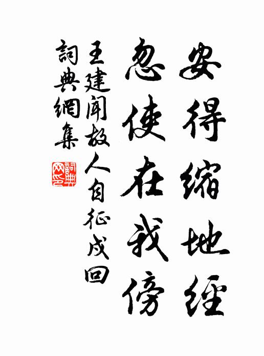 王建安得缩地经，忽使在我傍书法作品欣赏