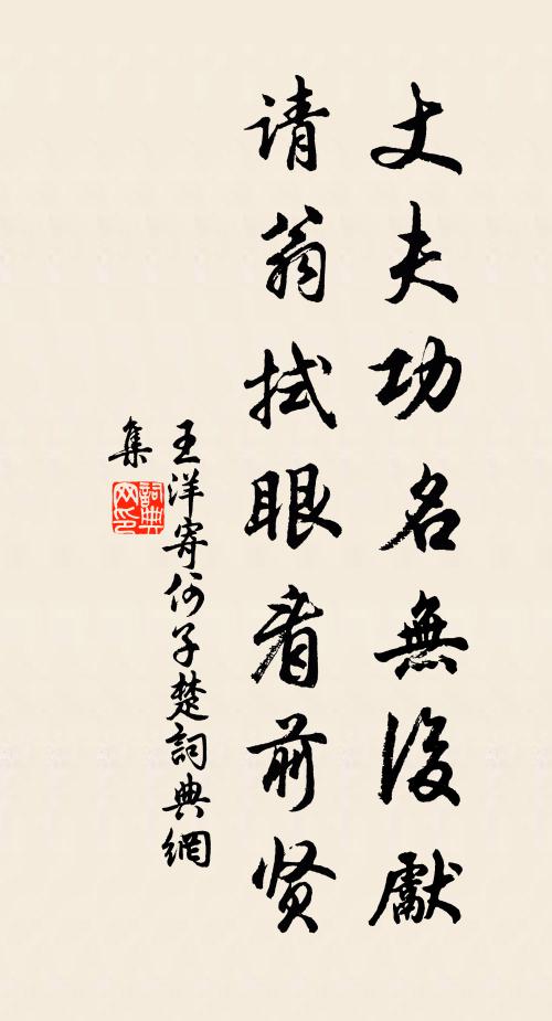 王洋丈夫功名无后先，请翁拭眼看前贤书法作品欣赏