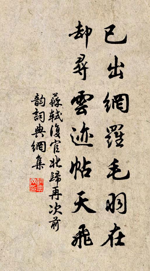 苏轼已出网罗毛羽在，却寻云迹帖天飞书法作品欣赏