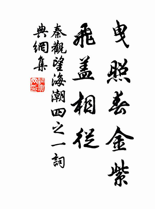 秦观曳照春金紫，飞盖相从书法作品欣赏