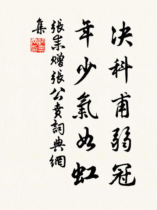 张耒决科甫弱冠，年少气如虹书法作品欣赏
