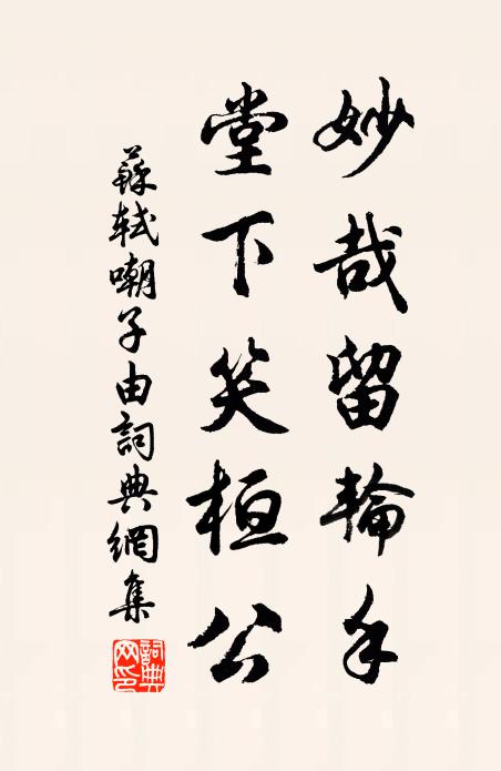 苏轼妙哉留轮手，堂下笑桓公书法作品欣赏