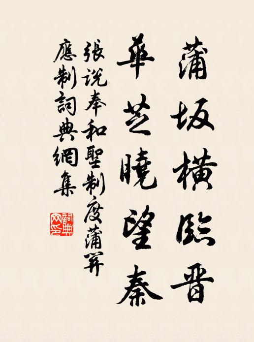 张说蒲坂横临晋，华芝晓望秦书法作品欣赏