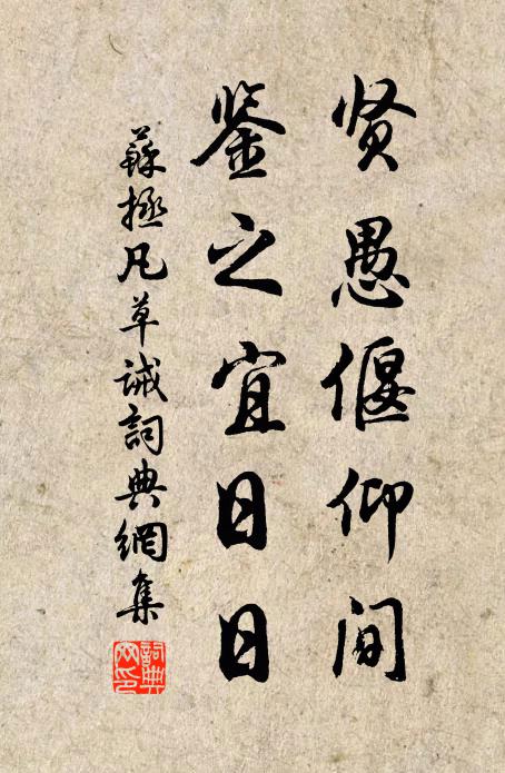 苏拯贤愚偃仰间，鉴之宜日日书法作品欣赏