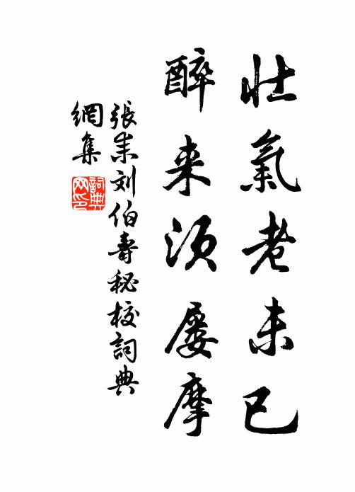 张耒壮气老未已，醉来须屡摩书法作品欣赏
