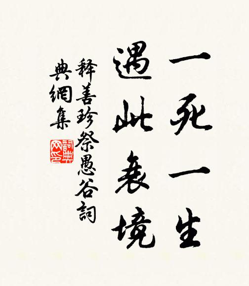 释善珍一死一生，遇此衰境书法作品欣赏