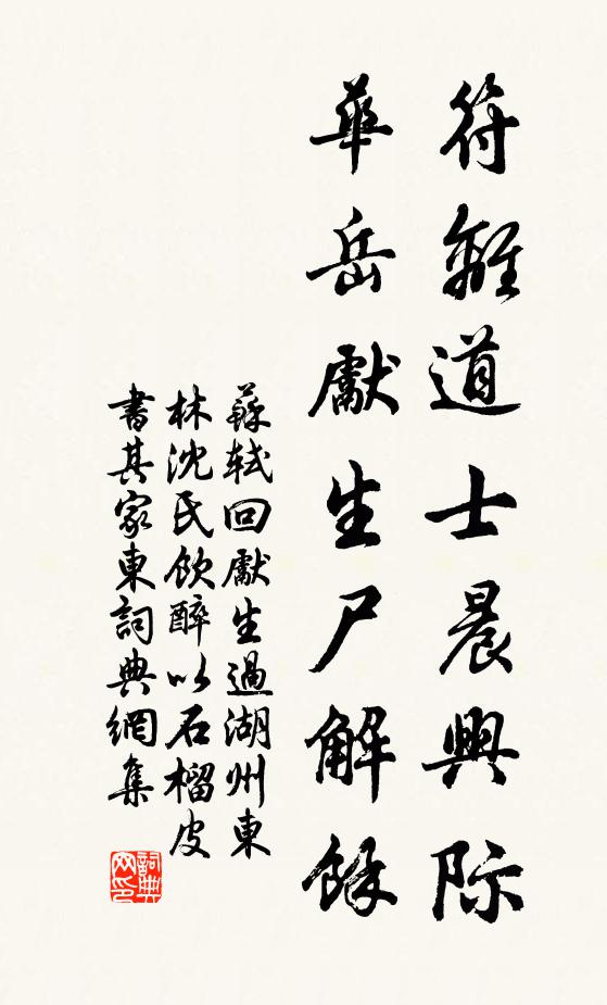 苏轼符离道士晨兴际，华岳先生尸解馀书法作品欣赏