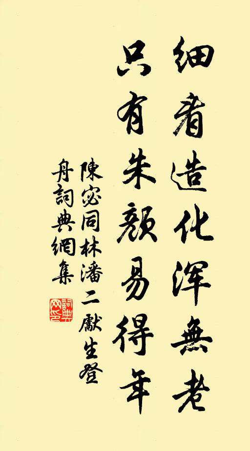 陈宓细看造化浑无老，只有朱颜易得年书法作品欣赏