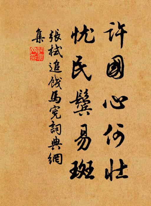 张栻许国心何壮，忧民鬓易斑书法作品欣赏