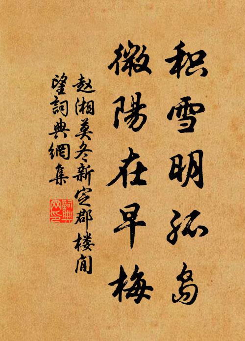 赵湘积雪明孤岛，微阳在早梅书法作品欣赏