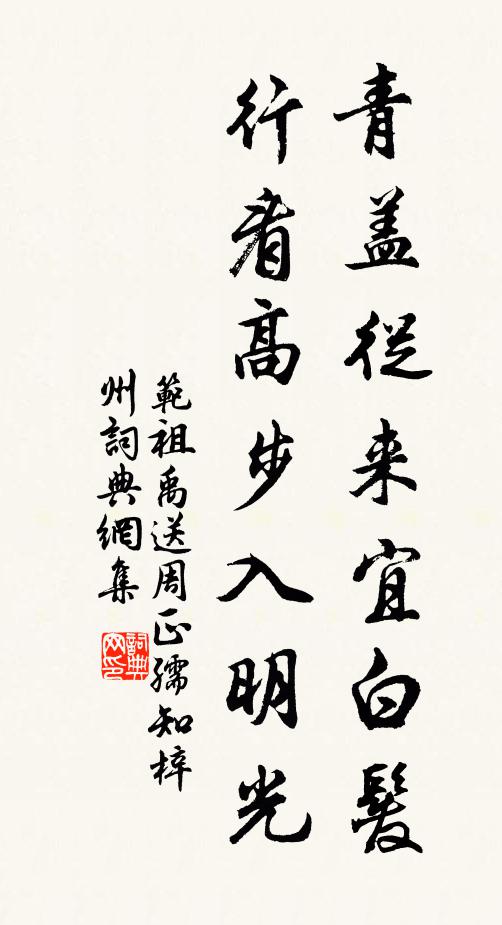 范祖禹青盖从来宜白发，行看高步入明光书法作品欣赏